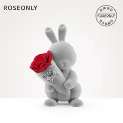 ROSEONLY 不滅の花の恋人のウサギの人形 ローズ ボックス 七夕 バレンタインデー ギフト ガールフレンドの誕生日