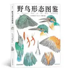野鳥の形態図鑑 智官兵衛 自然観察好き 野鳥観察好き 中鳥 日本アトラス 自然科学本