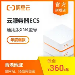 【公式自営】Alibaba Cloud 香港 ECS-XN4 クラウドサーバー クラウドホスト レンタル開発テスト