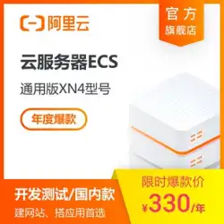 【公式自営】Alibaba Cloud本土リージョンECS-XN4クラウドサーバー仮想クラウドホスト開発テスト