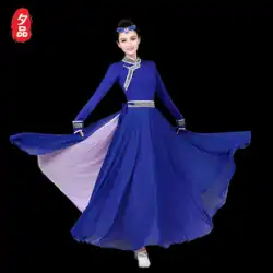 モンゴル舞踊衣装女性少数民族衣装モダンエスニックスタイル衣装トップボウル箸ダンスアートテスト