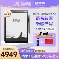 Keda Xunfei インテリジェント オフィス X2 Xunfei 電子書籍リーダー 電子ペーパー本 電子書籍リーダー インク スクリーン ディスプレイ 10.3 インチ インク スクリーン リーダー 電子書籍 手書き