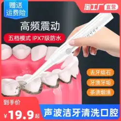 超音波歯磨き器 家庭用歯石除去 速効溶解洗浄 歯垢除去 歯石洗浄器