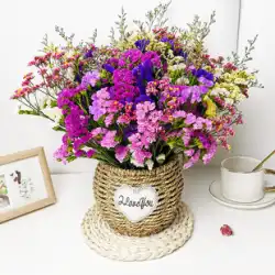 雲南ワスレナグサ 星空 ドライフラワー ブーケ 本物の花 自然風乾 自宅のリビングルームの装飾品 キャティが販売