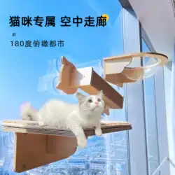 猫 クライミング フレーム 壁式 スカイキャット ウォールガラス 猫跳び台 宇宙カプセル 猫の巣 猫の木 1匹 ネコ 引っ掻き柱 猫棚