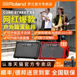 Roland Roland スピーカー CUBE STREET EX アウトドア ネット 赤 生 ギター 弾いて歌って 充電 Bluetooth オーディオ