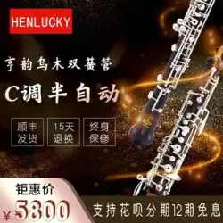 Hengyun 楽器 C キー オーボエ 黒檀オーボエ 半自動オーボエ 生涯保証