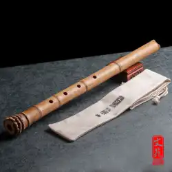 Xie Bing の特別な Guizhu とルート 千葉は民族楽器を演奏します日本の秦の古代の歌 Kou Wenyuan Tongling はプロデュースしました