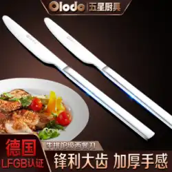Oraldo ステンレス 洋食 包丁 ステーキナイフ 歯付き ナイフ ポークチョップ ナイフ 洋食 ナイフとフォーク セット 洋食 食器