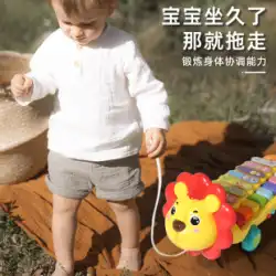子供のプルプルカープルラインプルロープ幼児ハンドプルカープル早期教育音楽ピアノ赤ちゃんのおもちゃ