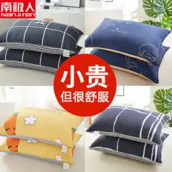 南極の枕 枕 ホテルの自宅で寝るのに役立つ一対の枕 頸椎枕 独身学生寮 男性 夏