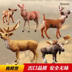 同徳シミュレーション鹿モデル野生動物のおもちゃニホンジカヘラジカ オジロ鹿トナカイアカシカ子供の認知