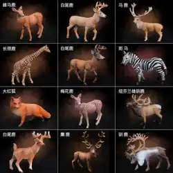 子供のシミュレーションプラスチックコアラキリンニホンジカ鹿モデル静的おもちゃトナカイカンガルー動物飾りおもちゃ