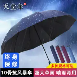 Paradise Umbrella 大型特大傘 太陽と雨の二重使用 折りたたみ式サンシェード 拡大ビニール メンズ 日傘 日焼け止め傘