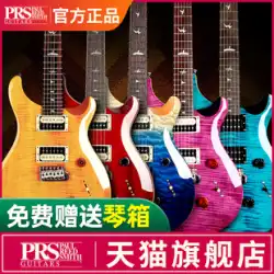 PRS エレキギター SE Custom 24 Standard ST22 ST24 インドネシア製 プロ仕様セット CU44