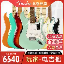 Fender フェンダー エレキギター Player Player Murphy ST: 4502/22 | TELE: 5212 (左手で)