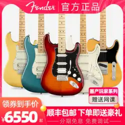 Fender フェンダー New Ink Mark Murphy Ink Production Player Series Player エレキギター ST TELE