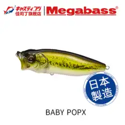 日本から輸入されたMEGABASS BABY POPXの水面が水面にぶつかり、ルアーのフェイクベイトの波を拾い、強い誘惑を登ります