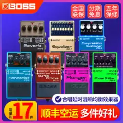 BOSS CS-3 CH1 エレキギター コーラス ディレイ リバーブ イコライズ シングルブロック GE-7 ベースエフェクター Roland RV6