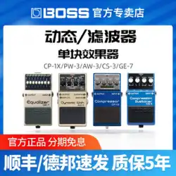 BOSS シングルブロック エフェクター RV-6 DM-2W DD8 ディレイ dd500 エレキギター ベース デジタル TE-2 リバーブ