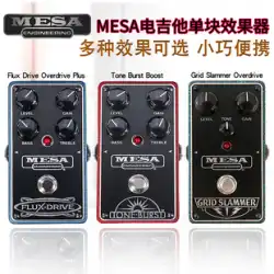 MESA エレキギター ディストーション 5 バンド イコライゼーション オーバーロード エキサイター ボックス アナログ イコライザー DI ボックス シングル ブロック エフェクター