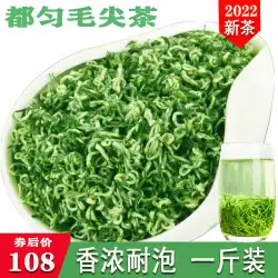 貴州緑茶 2022 新茶 Duyun Maojian Mingqian プレミアム ハンドメイド アルパイン クラウド ティー 強い香り 500g バルク