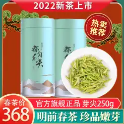 2022 新茶スポット 春茶 貴州省プレミアムトレジャー Duyun Maojian Mingqian 緑茶芽 バルク 250g