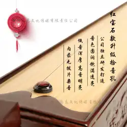 Xinqiyin 単弦ピアノ プロフェッショナル パフォーマンス グレード ハイエンド ナショナル 楽器 音楽愛好家 ユニバーサル ステージ オリジナル ポジティブ