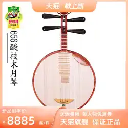 Dunhuang Yueqin 656 Rosewood Ebony Zhenxuemei Style【Dunhuang Store】