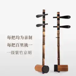 本物のマスター Song Congli 製 SC711 ブラック シース スネーク スキン プロによる Zizhu Jinghu 楽器 Xipi Erhuang の演奏