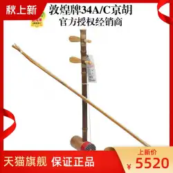 敦煌ブランド 34C/34A Xipi 二葦京湖演奏楽器 上海国立楽器 No.1 上海敦煌