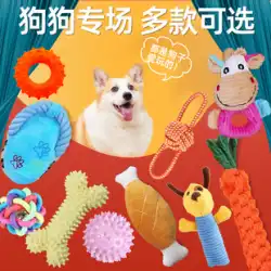 犬のおもちゃ 咬傷に強い子犬 退屈を和らげるアーティファクト モルスティック クマ コーギー テディ 小型犬 子犬 ペット用品