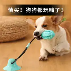 犬用おもちゃ 噛みつきにくい臼歯 ペット 退屈 アーティファクト 子犬 小型犬 子犬 遊び 吸盤 もれボール