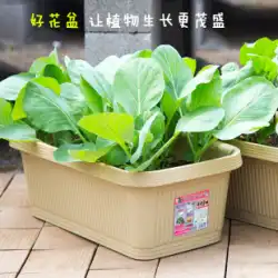 アリス バルコニー 野菜ポット 野菜 プラスチック 長方形 特大 フラワープレート 野菜 植栽ボックス アリス フラワーポット
