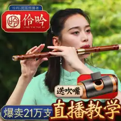 プロの竹笛子供の初心者ゼロ基本エントリー フルート楽器学生 E 洗練された演奏 F 曲古代風女性水平フルート