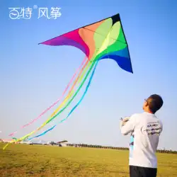 バクスター カイト ブティック カラフル 鳳凰凧 ネット 赤凧 大人 そよ風 飛ばしやすい 大型 ロングテール 優雅で飛ばしやすい