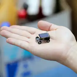 太陽のおもちゃバッタ|クモ|車の屋外の創造的なノベルティのおもちゃ子供の誕生日プレゼント