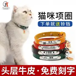 猫の首輪 猫のブランド レタリング 猫の鈴 革 紛失防止 身分証明書 猫 ヘッドギア 子猫 犬の首輪 小型犬