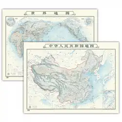 （インク版）中国＋世界地図（カラー印刷ドラムセット）