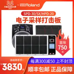 Roland ローランド SPD-30 SPD-SX PRO エレクトリックドラムパッド DJ ステージ サンプラーパッド パッド