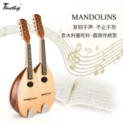 ティモシー ハンドメイド スプルース PM600 8弦 スコップ型マンドリン 楽器 高音 ラウンドバックマンドリン
