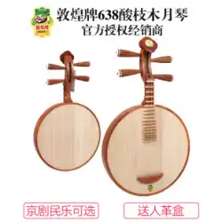 敦煌ブランド 638 楽琴酸枝木満月風楽琴楽器 北京オペラ民俗音楽 上海国立楽琴第一工場
