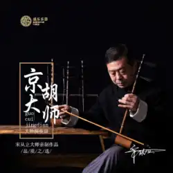 Master Song Congli 製 SC711 ブラック シース スネーク スキン プロフェッショナル 演奏 Zizhu Jinghu 楽器 Xipi Erhuang EFC チューン