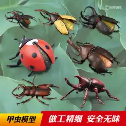 シミュレーションカブトムシのおもちゃ昆虫動物モデルユニコーンカブトムシビッグカブトムシカブトムシクワガタ子供の装飾のギフト