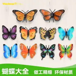 再生モデル音楽子供のシミュレーション昆虫動物モデルおもちゃカラフルな斑点のある蝶ニンフ蝶干ばつ教育認知装飾
