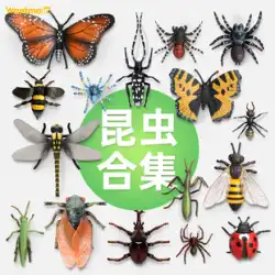 再生モデル 音楽 立体 シミュレーション 昆虫 動物モデル クモ 蜂 蝶 トンボ バッタ トカゲ カマキリ おもちゃ