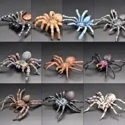子供の固体シミュレーション野生動物昆虫モデル おもちゃ セット クモ赤クモ黒クモ大クモ