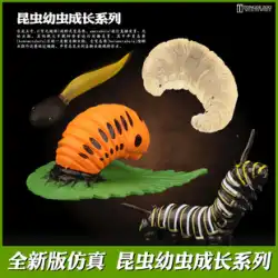 同徳シミュレーション昆虫モデル子供の動物のおもちゃ毛虫オタマジャクシ蝶蜂幼虫成長シリーズ
