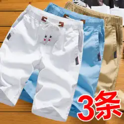コットン ショートパンツ メンズ 五点式パンツ トレンド 夏 カジュアル ゆったり 七点式パンツ 着こなし ビッグパンツ ビーチパンツ