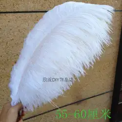 南アフリカ輸入ダチョウの羽 diy 装飾的な羽の結婚式ステージ道路の結婚式の装飾 55-60 センチメートル